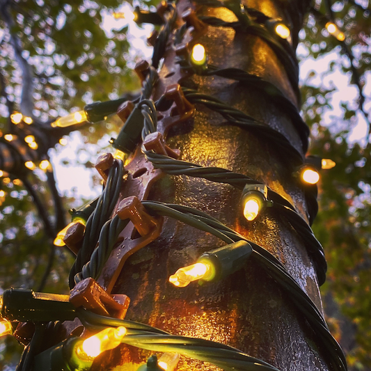 TREE-Z® Wrap Brown Up Close