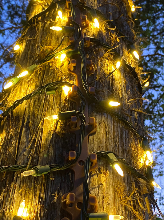 TREE-Z® Wrap on tree trunk with lights lit