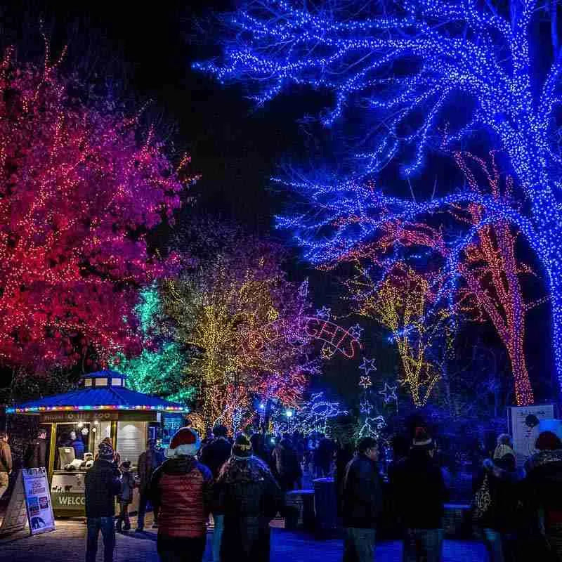 Ideas For Decorating Your City Park At Christmas