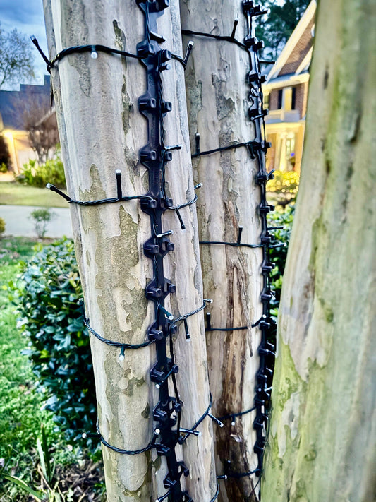 Use TreE-Z® Wrap to Hang Christmas Lights Outdoors Without Staples or Nails 