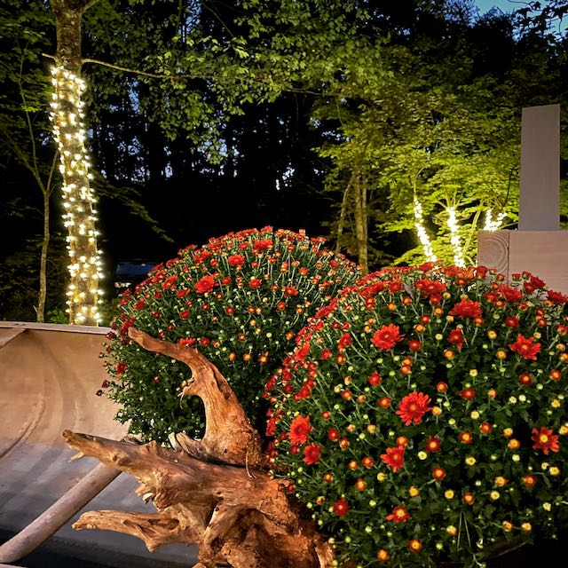 TREE-Z® Wrap  Back Yard Event