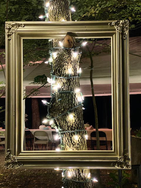 TREE-Z® Wrap Wedding Decor