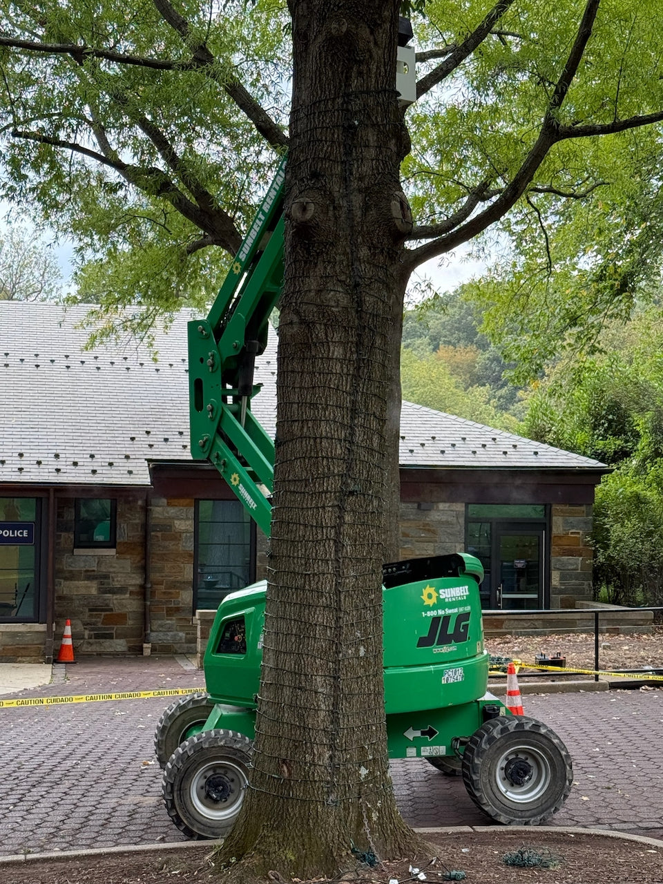 TREE-Z® Wrap - Clean