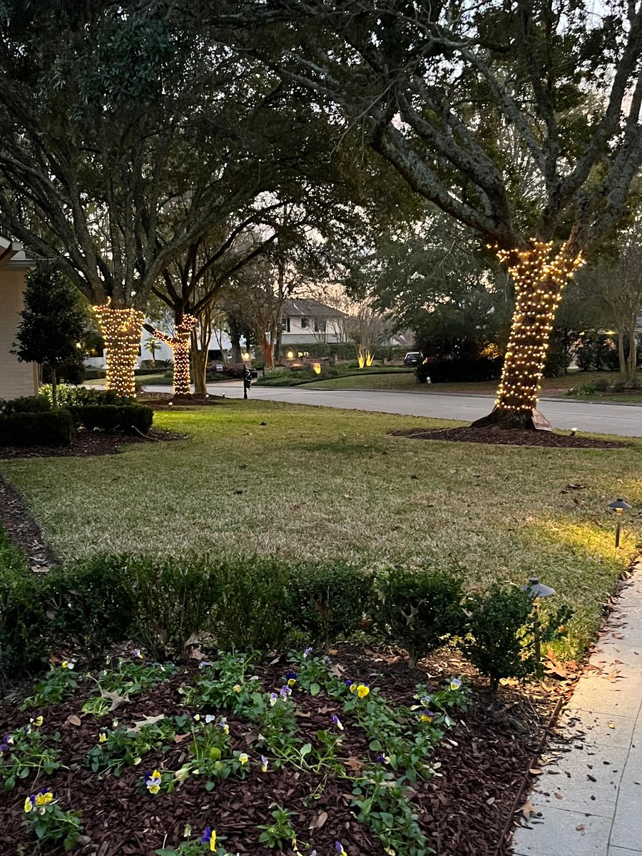 TREE-Z® Wrap - Customer Photo