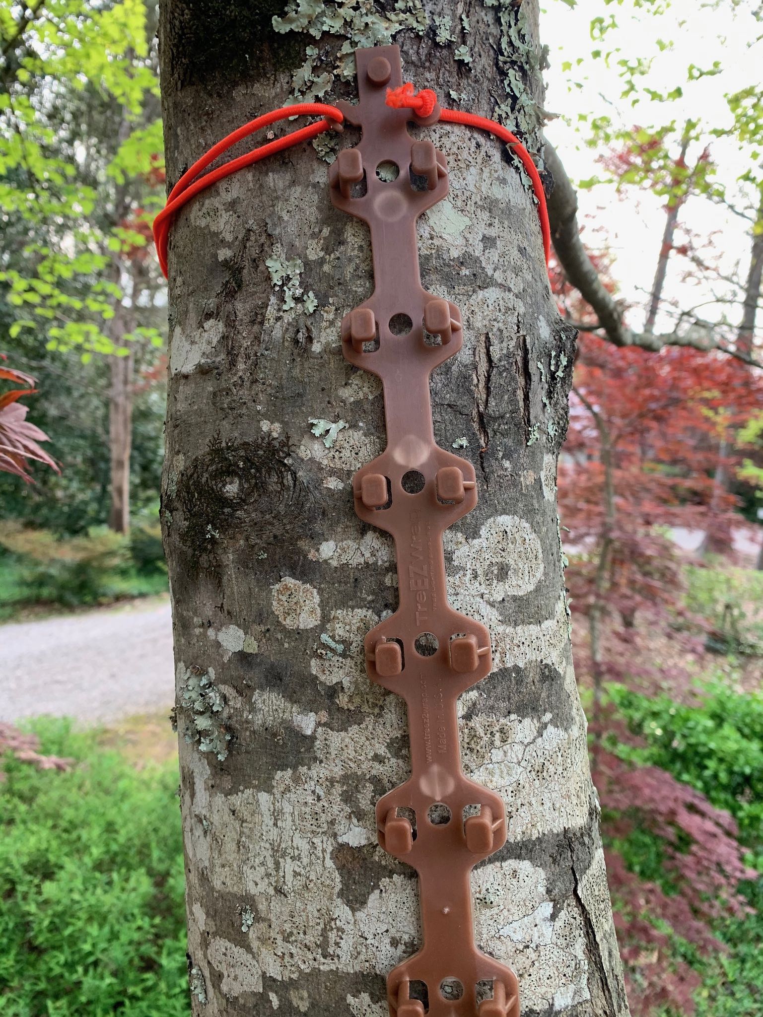 TREE-Z® Wrap with Starter Cord