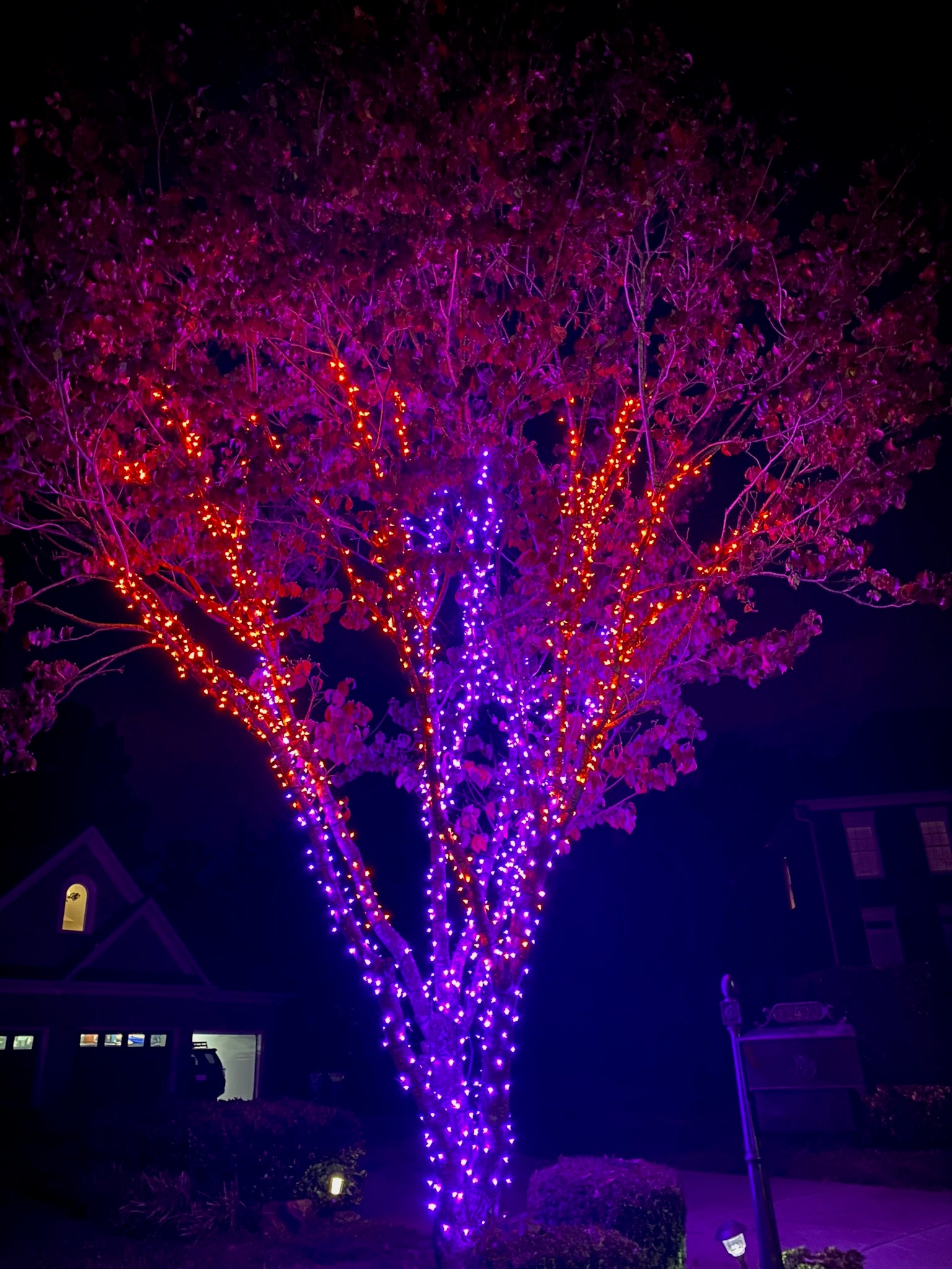 TREE-Z® Wrap Fire Ice Tree