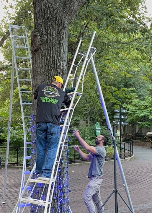 TREE-Z® Wrap - Fun