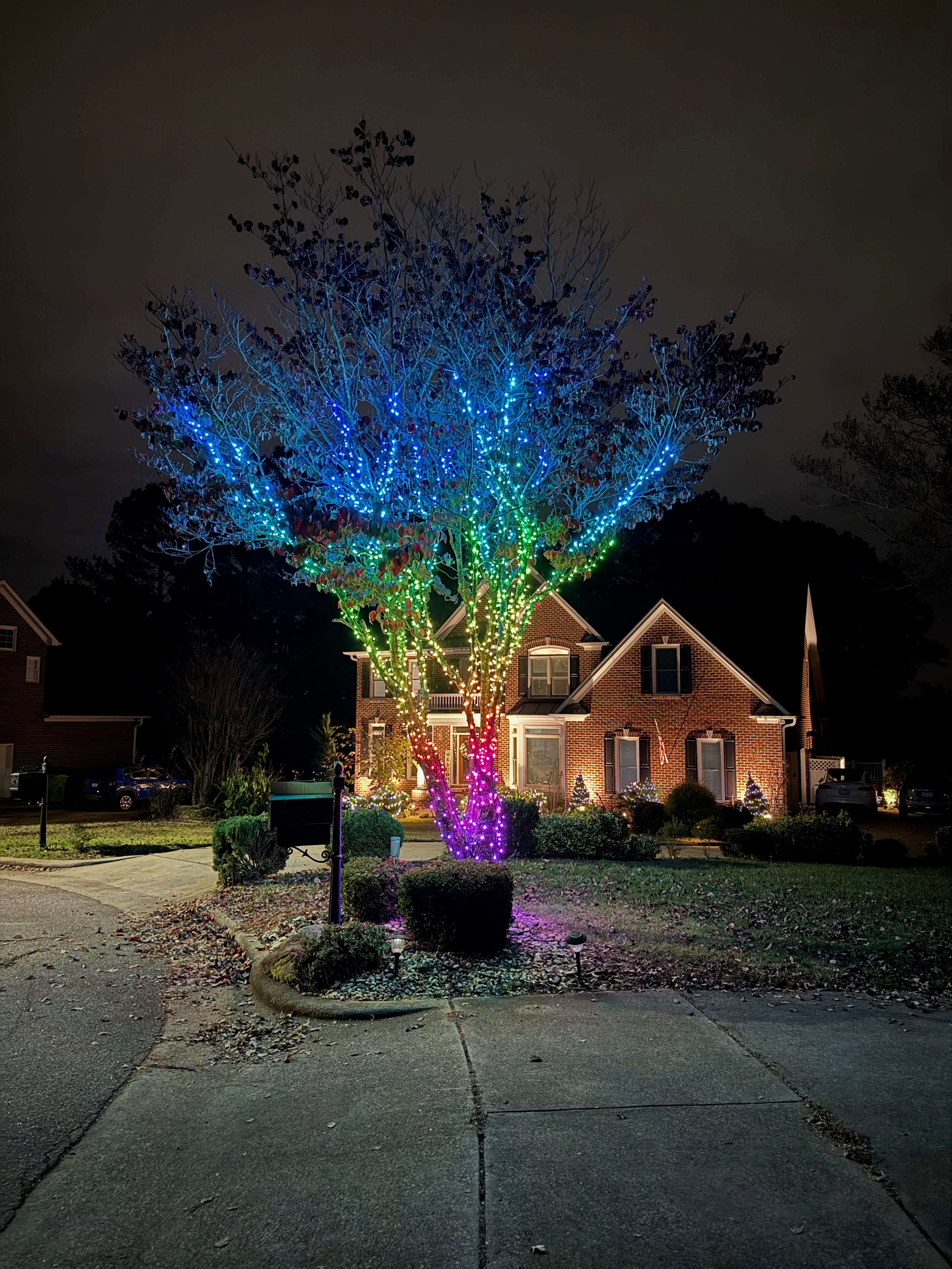 TREE-Z® Wrap -  Customer's Photo
