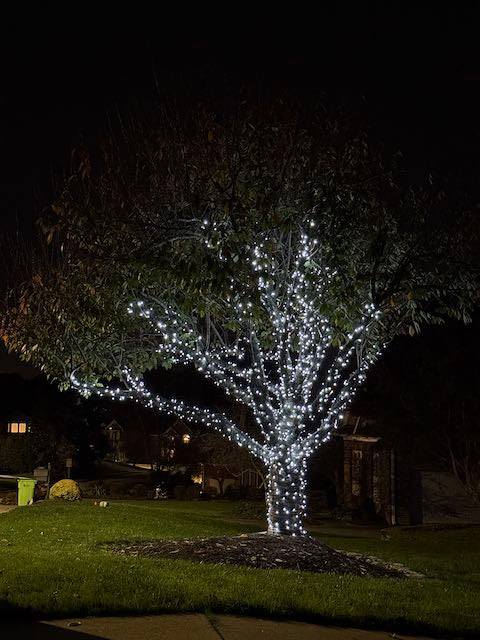 30 pc. Mid-sized Multi-color pack