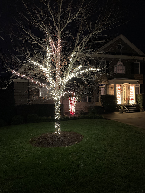TREE-Z® Wrap Customer Photo