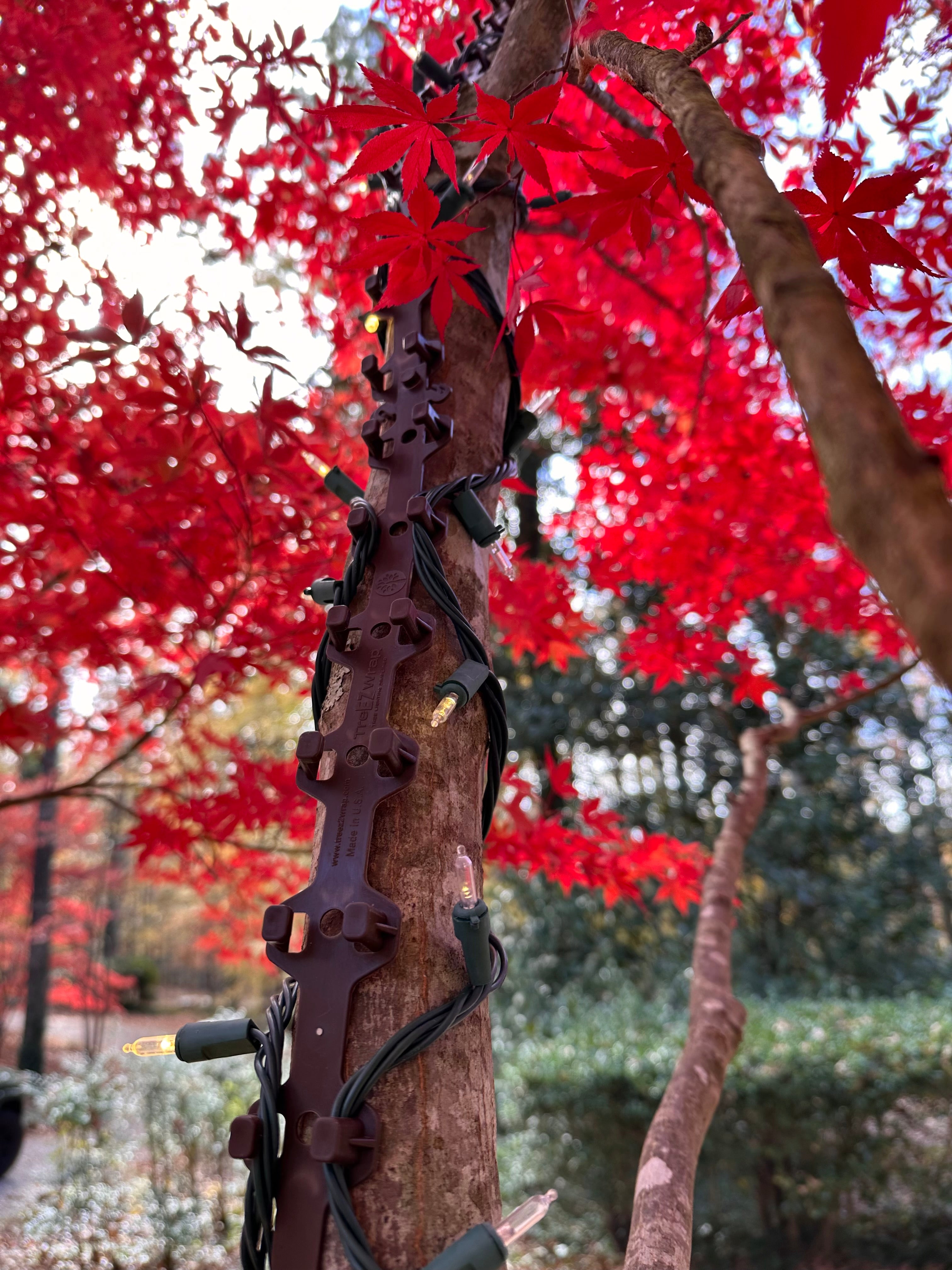 TREE-Z® Wrap - On Trunk