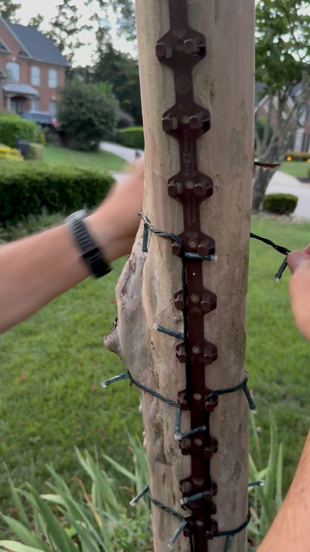 TREE-Z® Wrap - Install Applying Tension