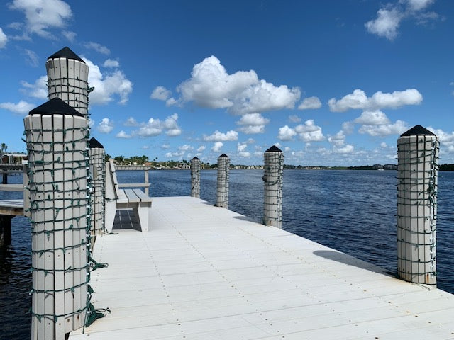 TREE-Z® Wrap - Light Up Naples Dock Project