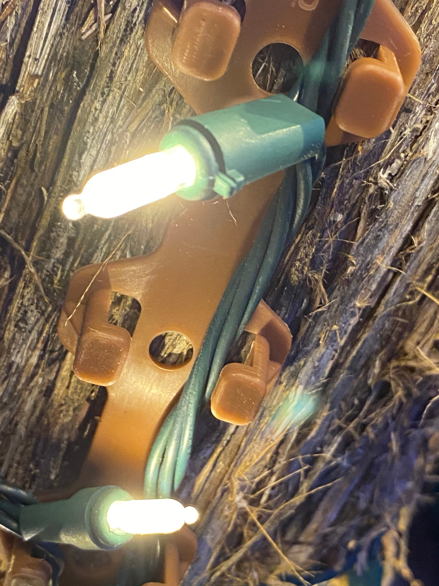 TREE-Z® Wrap - On Tree Closeup