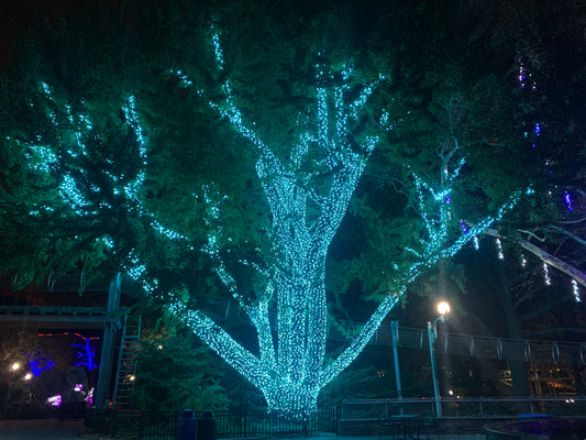 TREE-Z® Wrap Philadelphia Zoo Project