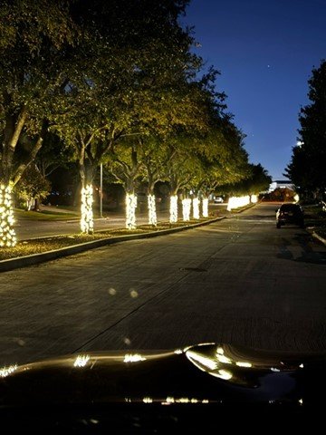TREE-Z® Wrap - Thomas-Cox-Elite-Holiday-Decorating-Picture2_1