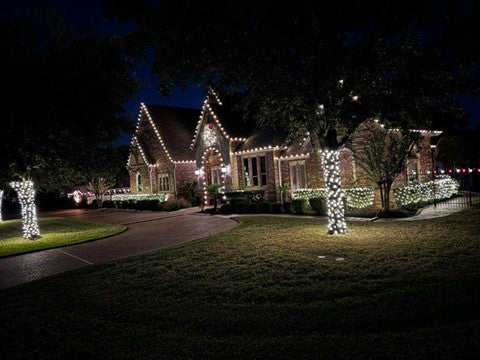 TREE-Z® Wrap - ThomasCoxEliteHolidayDecoratingPicture3