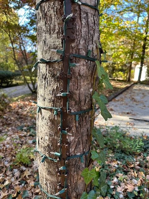 TREE-Z® Wrap - Tripple Spaced